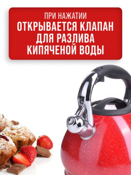 28555 Чайник 3,4л нерж/сталь со свистком MB (х12) - Mayer&boch фото 10