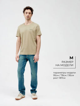 Мужская Футболка