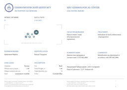 Браслет из Бирюзы 19 см +