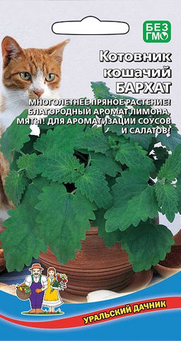 Котовник лимонный БАРХАТ