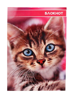 Цена за 20 шт. Блокнот А6, 40 листов в клетку на скрепке Котята и щенята, обложка мелованный картон, МИКС - Calligrata фото 5