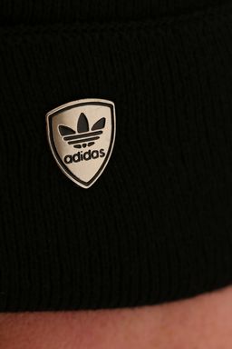 З-45 2010.С1 Шапка мужская утепленная с отворотом - Almond фото 2