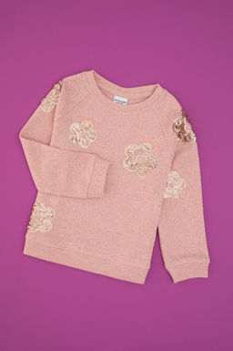 K_z _ocuk A__k Pembe Bisiklet Yaka Sweatshirt