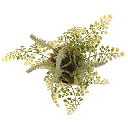 Цветочная композиция, L15 W15 H24 см - Remeco фото 2