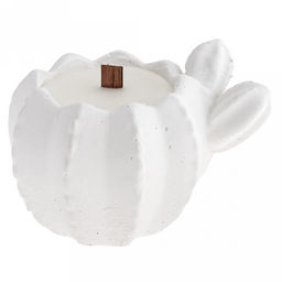 Свеча "Кактус" д8см, h6,6см, парафин, в подсвечнике из гипса, малая, белый, время горения 8 часов (Россия)