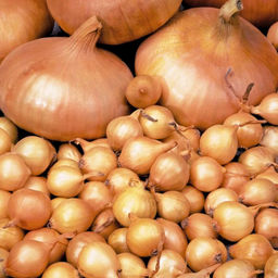 Севок Штутгартен Ризен 2 группа 0,9 кг Чувашия