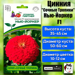 3374P Цинния F1 НЬЮ-ЙОРКЕР / георгиновидная 4шт
