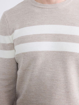 Bisiklet Yaka ?izgili Erkek Triko Kazak