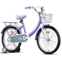 Велосипед 20" Rocket Luna, цвет сиреневый