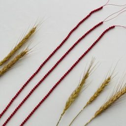 Бусины для украшений из красного Коралла - Радуга самоцветов фото 4