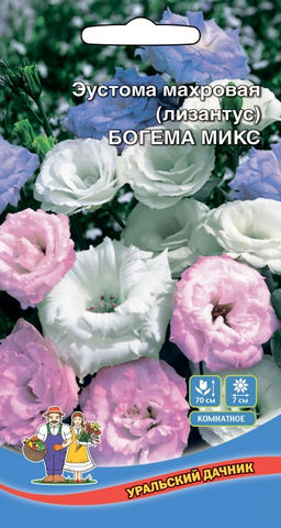 Эустома БОГЕМА МИКС