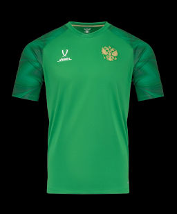 Футболка вратарская JOGEL NATIONAL PerFormDRY GK Jersey, зеленый  фото 2