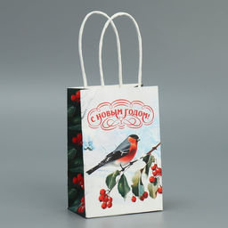 Пакет крафтовый Зимушка, 15 10 6 см