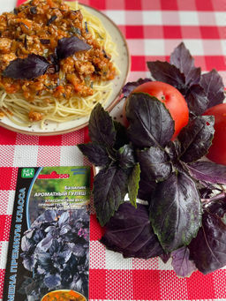 Базилик АРОМАТНЫЙ ГУЛЯШ  Пряный, густой аромат идеален для мясных блюд, особенно гуляша! Подходит для сушки, заморозки и при консервировании!