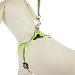Комплект со светоотражающей лентой, ошейник 120 х 1 см, ОГ 26-40 см, зеленый - Пижон фото 3