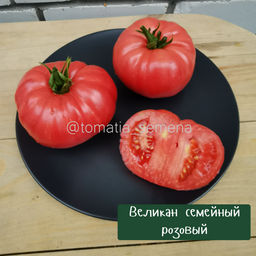 Великан семейный розовый - Tomatia фото 2