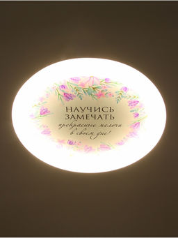 Потолочный светильник светодиодный BayerLux «Цветы», 120 Вт, LED, 49.5×49.5×6.5 см