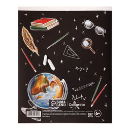 Тетрадь предметная Доска, 48 листов в клетку История, обложка мелованный картон, блок офсет - Calligrata фото 2