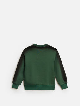 ACOOLA / Джемпер детский для мальчиков Pirog зеленый  фото 2