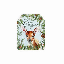 Цена за 10 шт. Шильдик новогодний на подарок «Верь в чудеса», набор 6 штук, 16×24 см