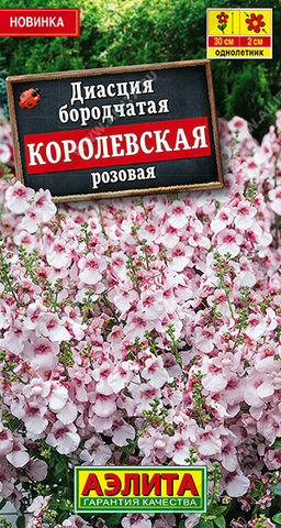 Диасция Королевская розовая