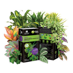 Набор c кокосом для посадки декоративно лиственных комнатных растений - Zion фото 3