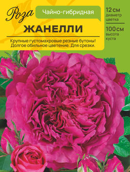 Роза Жанелли (Чайно-гибридная) С ЦВ.НАКЛЕЙКОЙ 1шт