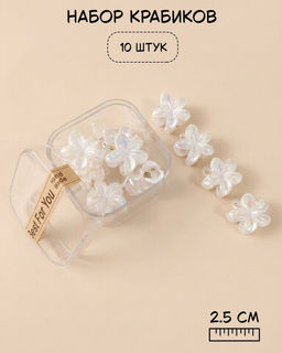 Набор крабиков для волос в боксе (10 шт)