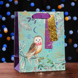 Пакет подарочный Зимняя совушка, люкс 18 х 22,3 х 10 см