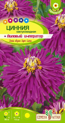 Цинния Кактусовидная Лиловый Император 0,2г (Семена Алтая)