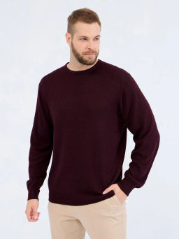 Джемпер мужской GREG G121-DA491 бордо/черный  фото 16