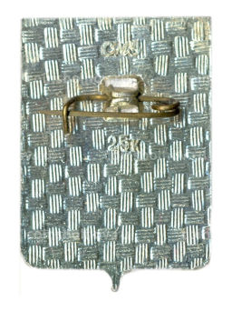 Значок Рославль