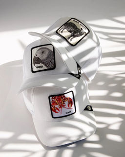 Бейсболка GOORIN BROTHERS арт. 101-2424 (белый)  фото 5