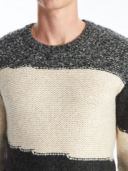 Bisiklet Yaka Uzun Kollu Renk Bloklu Erkek Triko Kazak