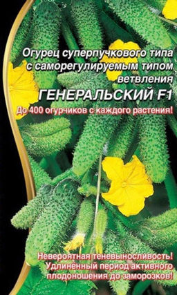 Огурец ГЕНЕРАЛЬСКИЙ® F1  Суперпучковый II тип