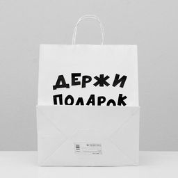 Пакет подарочный с приколами, крафт Держи подарок, белый, 24 х 10,5 х 32 см - UPAK LAND фото 2