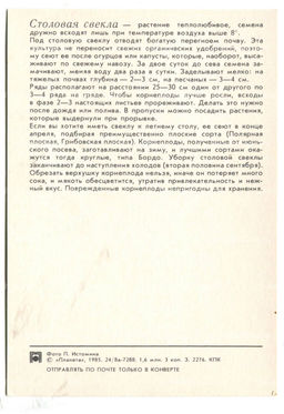 Открытка Свекла