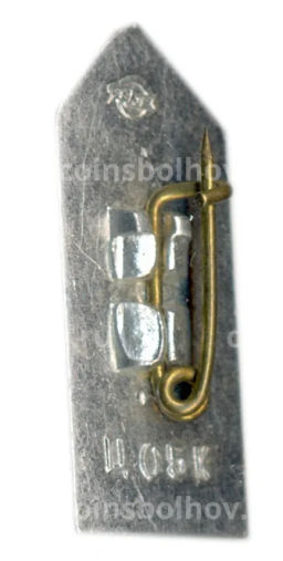 Значок Рига