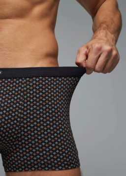 Трусы мужские боксеры Rogers 83147 модал, эластан размеры M, L, XL, 2XL  фото 4