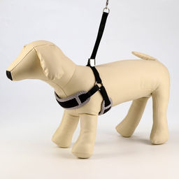 Комплект мягкая шлейка, круглый поводок 120 х 1 см с вертлюгом, S, ОШ 26-67 см, ОГ 26-67 см, чёрный - Пижон фото 2