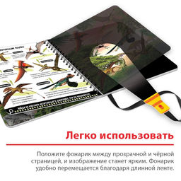 Секретная книга с волшебным фонариком Диноленд, 22 стр. - Буква-ленд фото 4