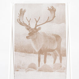 Полотенце махровое 6с102.511ж2 Фото-олень(лен3) 67х150см