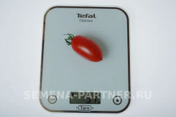 Томат Рыжий Котя F1 - Партнер фото 5