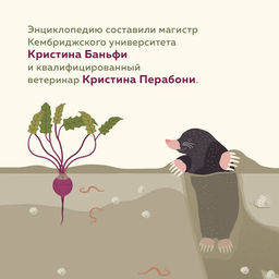 Что внутри? Как устроены дома животных. Банфи К., Перабони К. - Издательство махаон фото 4