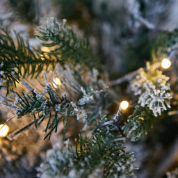 ULD-T5460-030/SNA/3AA WARM WHITE IP20 XMAS TREE SNOW Дерево светодиодное Ёлочка снежная, на батарейках 3АА (не в/к), 54х60см. 30 светодиодов. Теплый белый свет. TM Uniel