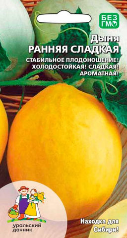 Дыня РАННЯЯ СЛАДКАЯ  Стабильное плодоношение! Холодостойкая! Сладкая! Ароматная!