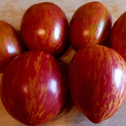 7167Т Томат Дон жуан 10шт