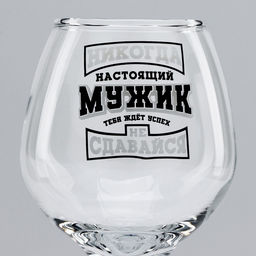 Бокалы для коньяка «Никогда не сдавайся», 265 мл, 2 шт.