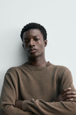 JERSEY REGULAR FIT ALGOD?N - LINO / Khaki oscuro - Zara фото 5
