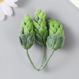 Цена за 5 шт. Искусственное растение для создания флорариума "Тройная шишка" 7 см